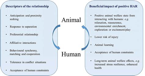 動物人間 raw: 異なる視点から見る人間と動物の関係